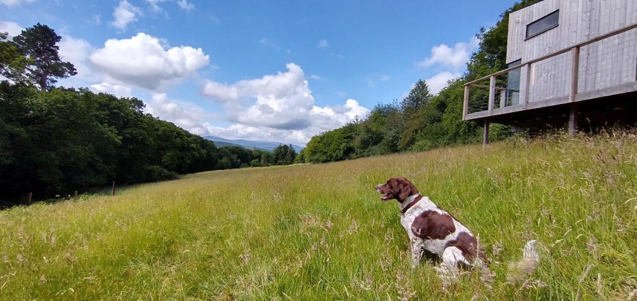 Nire Valley Eco Camp Ballymacarbry 외부 사진